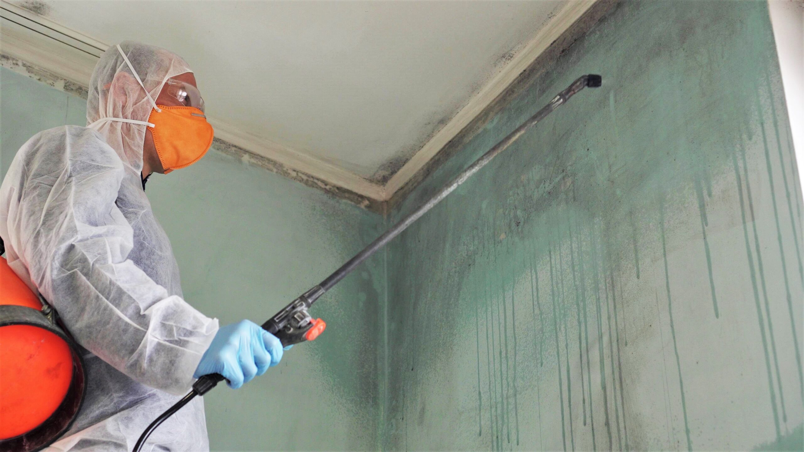 Technician in gloves spraying mold remediation treatment on a stained ceiling corner
